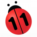 N11