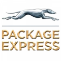 Greyhound